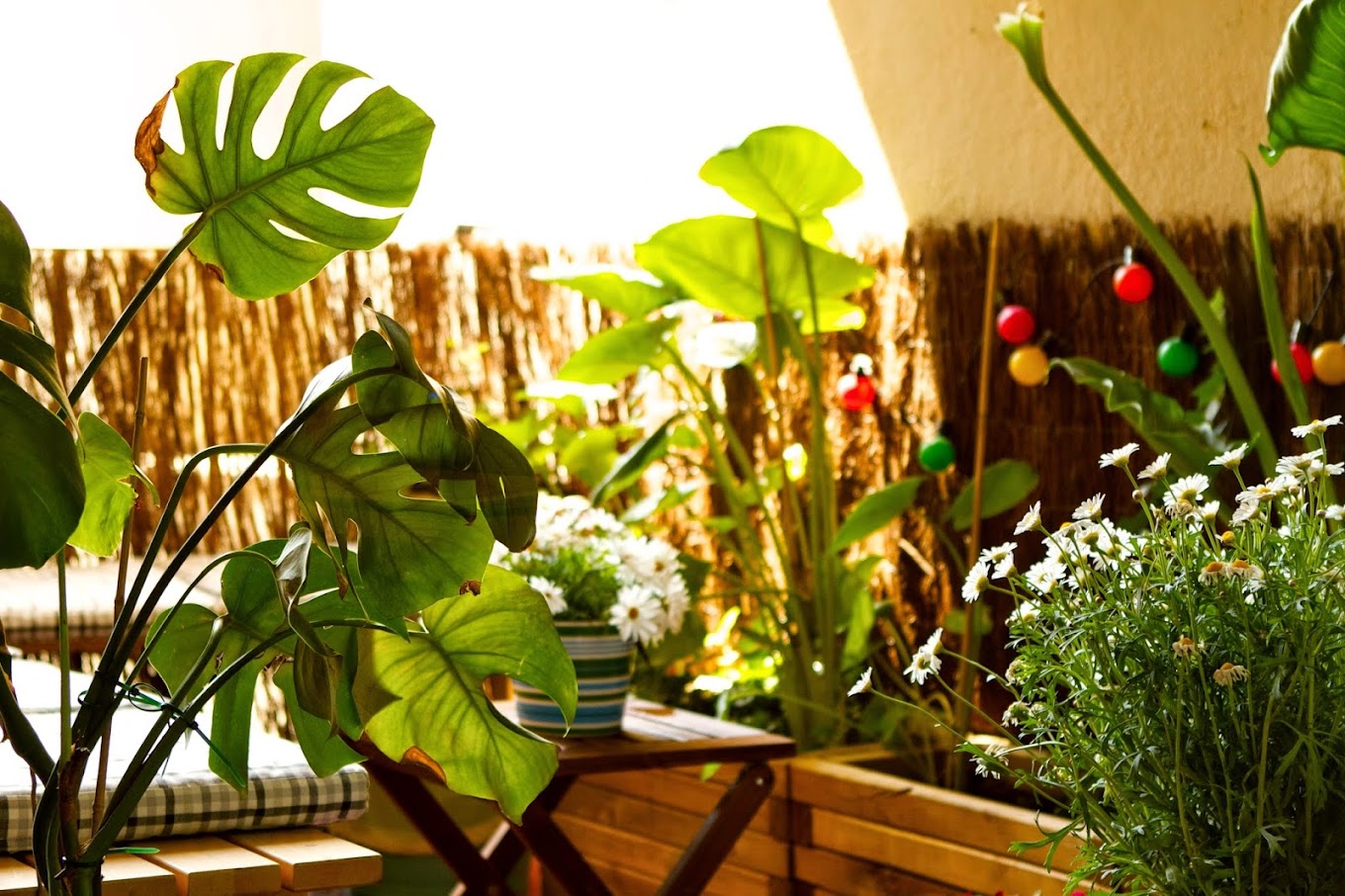 Фото отзыва