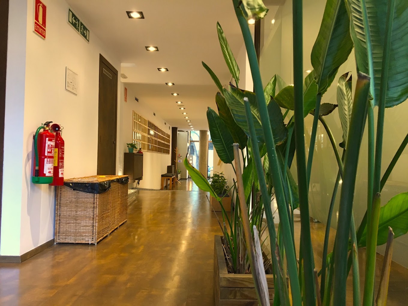 Фото отзыва