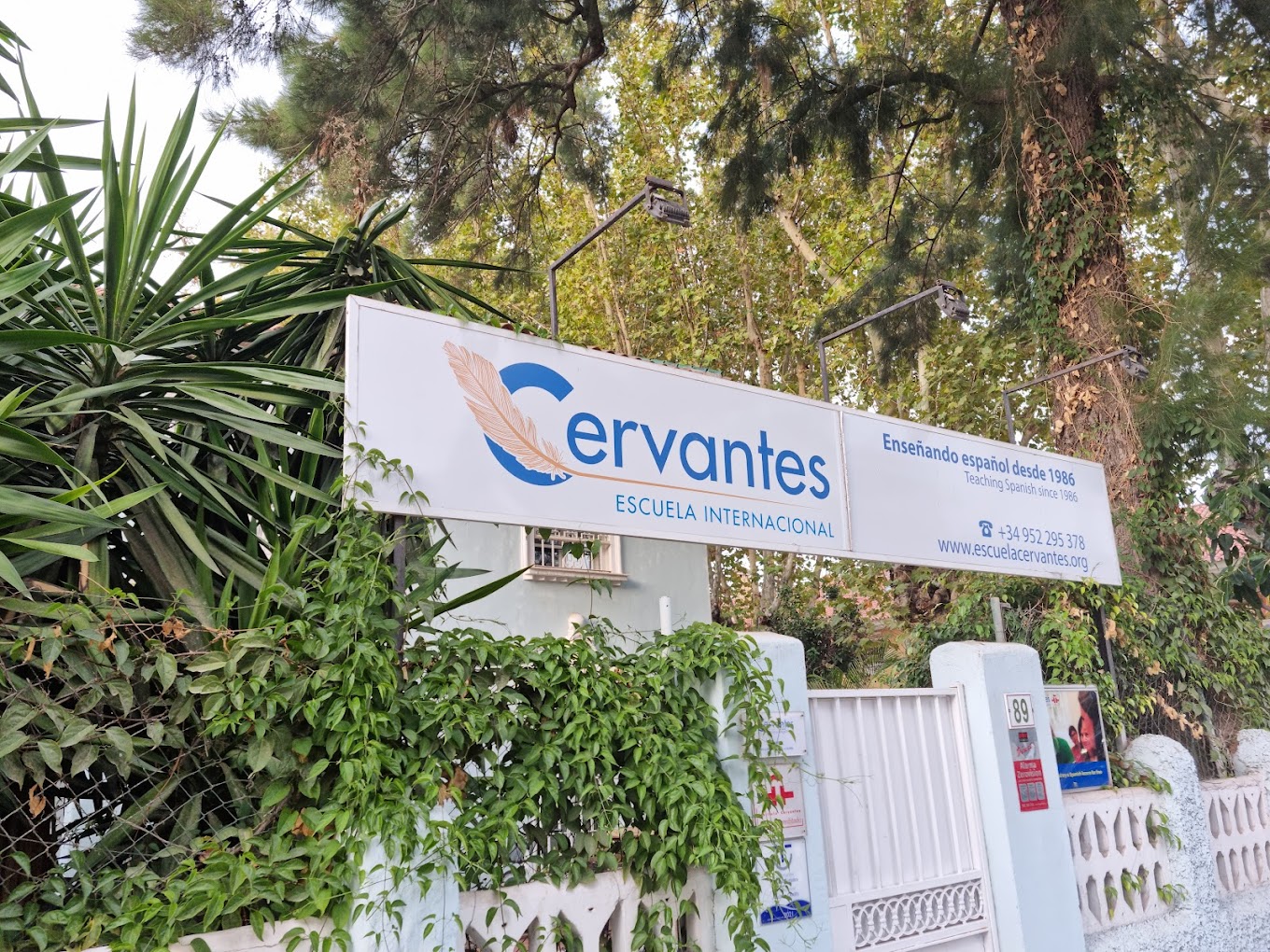 Фото отзыва