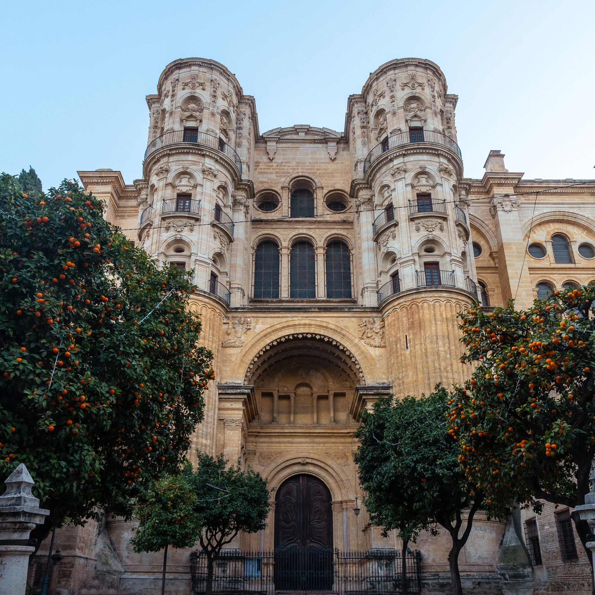 Фото отзыва