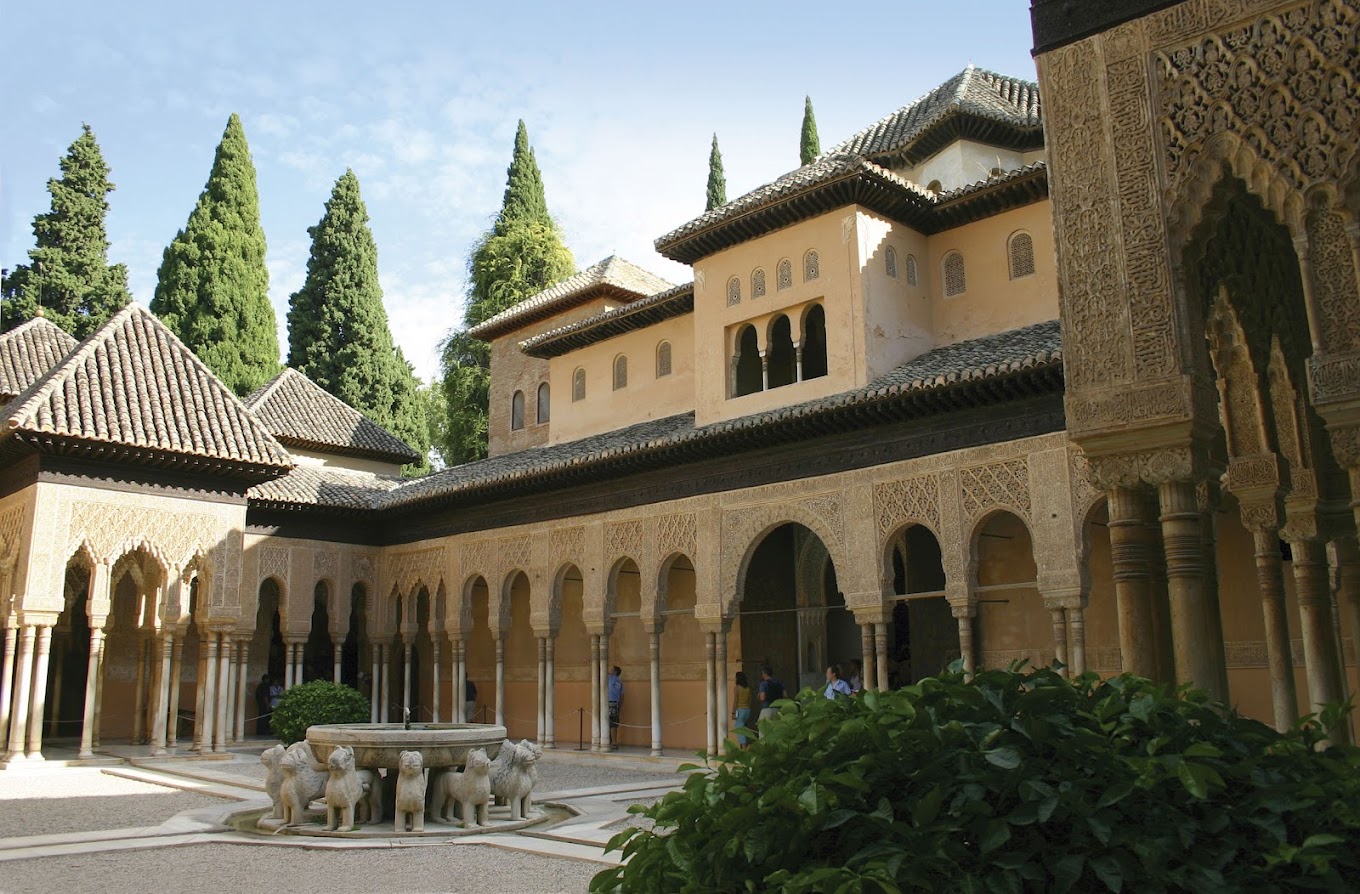 Фото отзыва