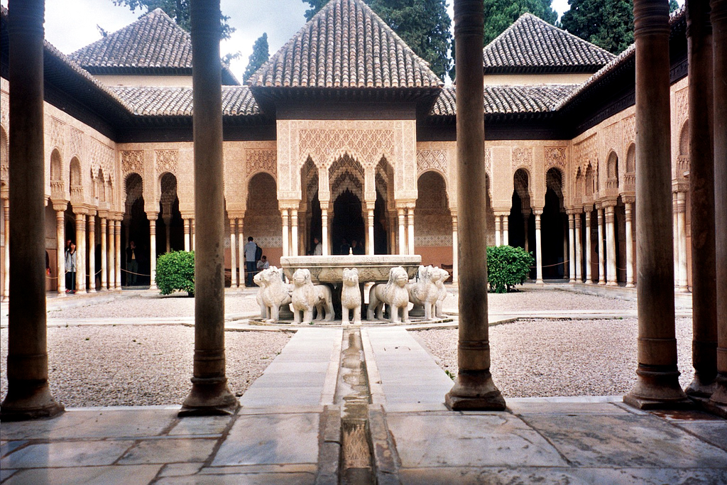 Фото отзыва