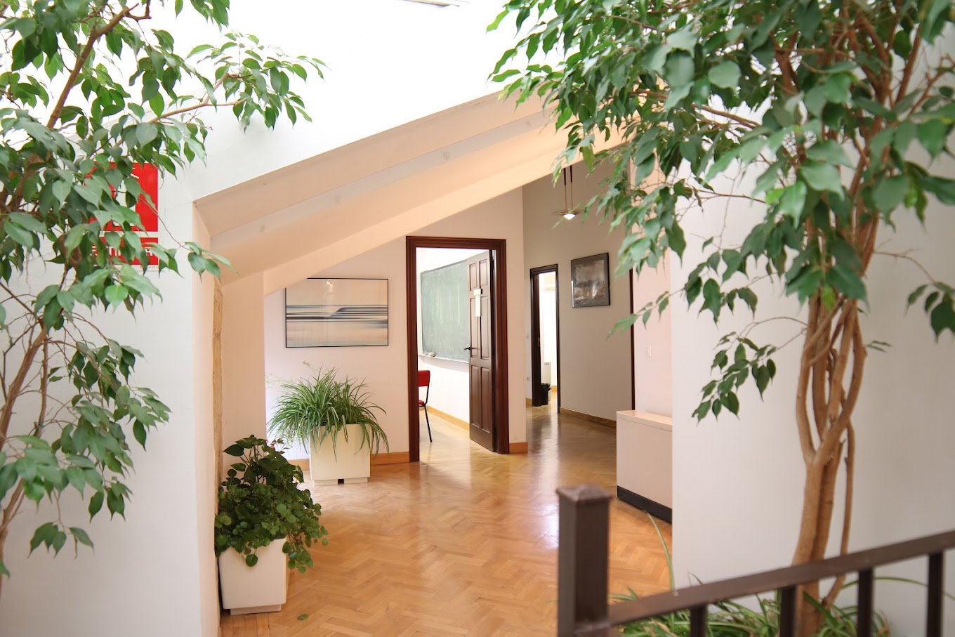 Фото отзыва