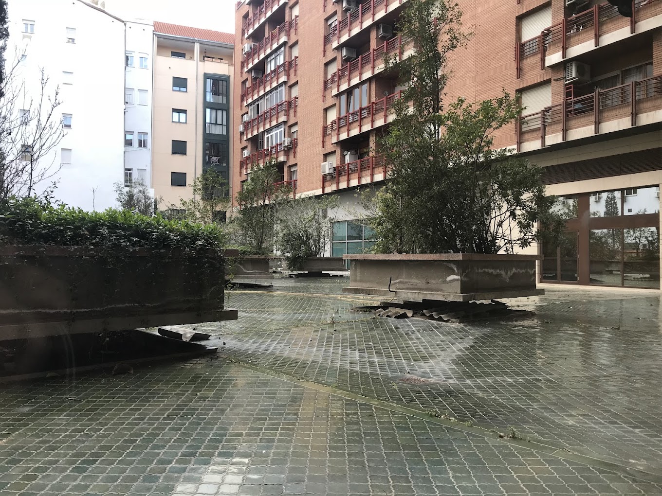 Фото отзыва