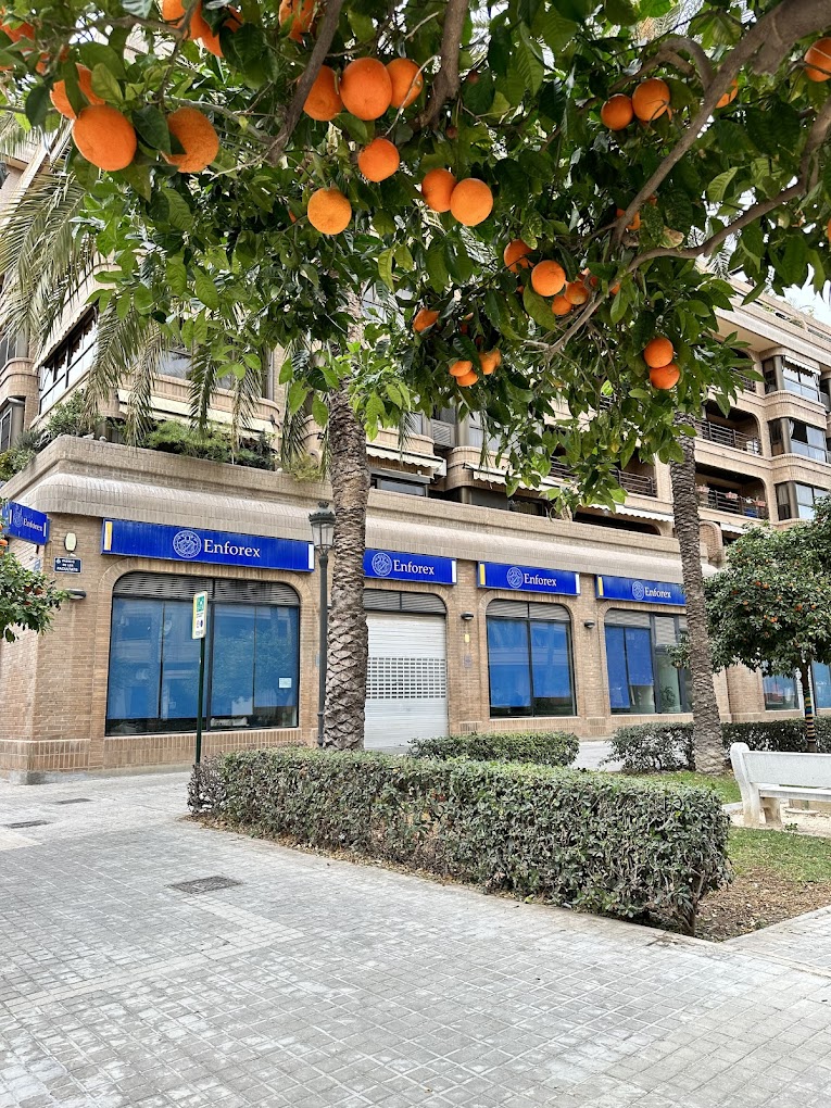 Фото отзыва