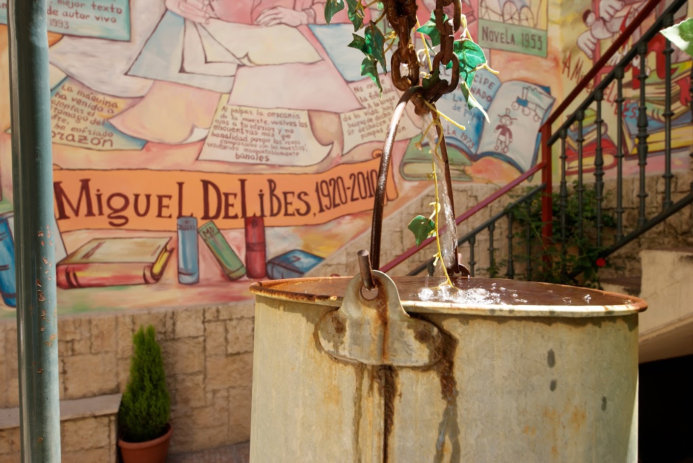 Фото отзыва