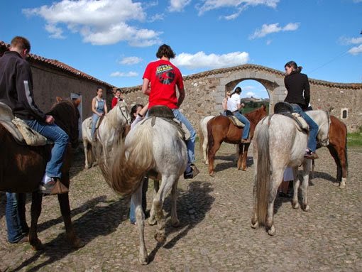 Фото отзыва